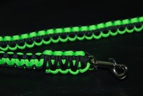 Hundeleine + passendes Halsband, neongrün/schwarz Hundeleine + passendes Halsband, neongrün/schwarz