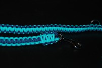 Hundeleine + passendes Halsband, türkis/dunkelblau Hundeleine + passendes Halsband, türkis/dunkelblau