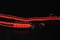 Hundeleine + passendes Halsband, neonorange/schwarz