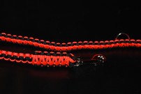Hundeleine neonorange/schwarz Hundeleine neonorange/schwarz