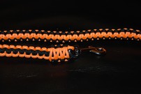 Hundeleine fluoreszierendes apricot/schwarz Hundeleine fluoreszierendes apricot/schwarz