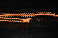 Hundeleine + passendes Halsband, fluoreszierendes apricot/schwarz Hundeleine + passendes Halsband, fluoreszierendes apricot/schwarz