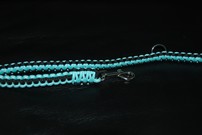 Hundeleine + passendes Halsband, fluoreszierendes hellblau-türkis/schwarz Hundeleine + passendes Halsband, fluoreszierendes hellblau-türkis/schwarz
