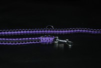 Hundeleine + passendes Halsband, violett/schwarz Hundeleine + passendes Halsband, violett/schwarz