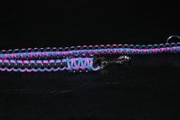 Hundeleine + passendes Halsband, pink-blau/schwarz Hundeleine + passendes Halsband, pink-blau/schwarz
