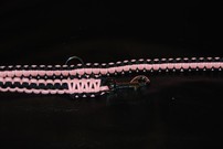 Hundeleine + passendes Halsband, fluoreszierendes lachs/schwarz Hundeleine + passendes Halsband, fluoreszierendes lachs/schwarz