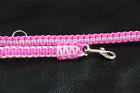 Hundeleine + passendes Halsband, rosa/pink